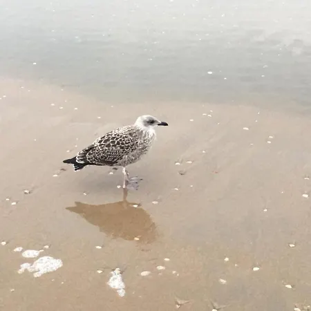 Mein Strand